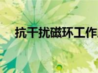 抗干扰磁环工作原理（抗干扰磁环简介）