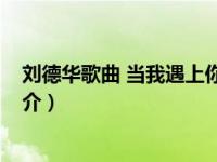 刘德华歌曲 当我遇上你（当我遇上你-刘德华演唱的歌曲简介）