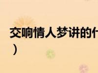 交响情人梦讲的什么（交响情人梦Finale简介）