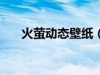 火萤动态壁纸（武藤兰动态壁纸简介）