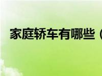 家庭轿车有哪些（家庭轿车诱惑中国简介）