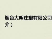 烟台大明注塑有限公司（烟台大明气模营造有限责任公司简介）