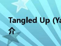 Tangled Up (Yarin  Richwood Remix)简介
