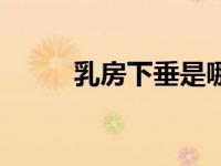 乳房下垂是哪样（乳房下垂简介）