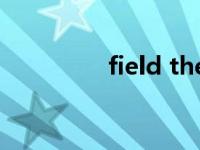 field the（Field II简介）