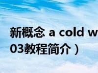 新概念 a cold welcome（新概念Access 2003教程简介）