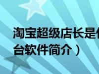淘宝超级店长是什么（超级店长-淘宝服务平台软件简介）
