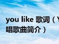 you like 歌词（You Lie-The Band Perry演唱歌曲简介）