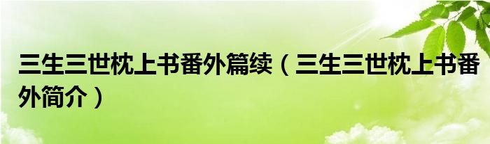 三生三世枕上书番外篇续（三生三世枕上书番外简介）