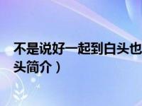 不是说好一起到白头也说过不会等太久（不是说好一起到白头简介）