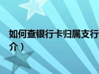 如何查银行卡归属支行（苏州宣医智慧医疗科技有限公司简介）