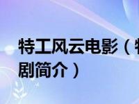 特工风云电影（特工风云-间谍动作电视连续剧简介）