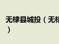 无棣县城投（无棣国成交通设施有限公司简介）