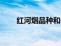 红河烟品种和价格表（红河烟简介）