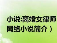 小说:离婚女律师（离婚女律师-狐小闹创作的网络小说简介）