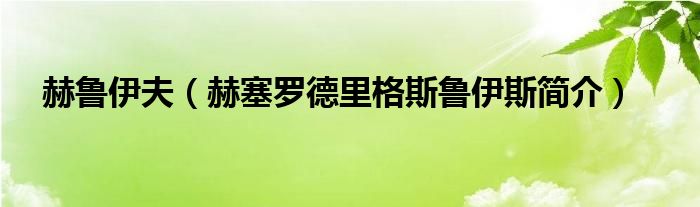 赫鲁伊夫（赫塞罗德里格斯鲁伊斯简介）