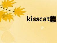 kisscat集团（kisscat简介）