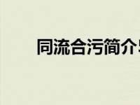 同流合污简介50字（同流合污简介）