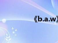 《b.a.w》（B.A.W简介）