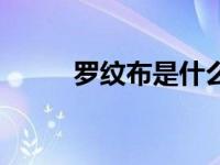 罗纹布是什么面料（罗纹布简介）