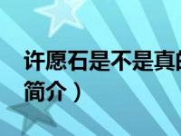 许愿石是不是真的（许愿石-海风著网络小说简介）