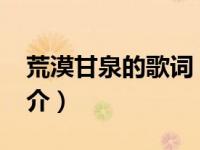 荒漠甘泉的歌词（荒漠甘泉-郑钧演唱歌曲简介）