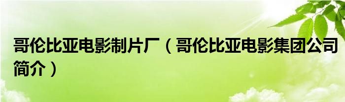 哥伦比亚电影制片厂（哥伦比亚电影集团公司简介）