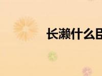 长濑什么臣（长濑爱梨简介）