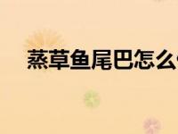 蒸草鱼尾巴怎么做好吃（蒸草鱼尾简介）