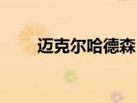 迈克尔哈德森（迈克尔赫德森简介）