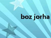 boz jorha（Boaz Dror简介）