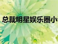 总裁明星娱乐圈小说（明星总裁的暖妻简介）