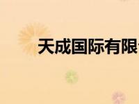 天成国际有限公司（天成国际简介）
