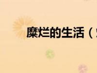 糜烂的生活（灿烂生活数码城简介）