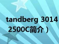 tandberg 3014（TANDBERG TANDBERG 2500C简介）
