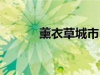 薰衣草城市（薰衣草之都简介）
