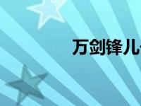 万剑锋儿子（万剑锋简介）