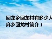 回龙乡回龙村有多少人口（回龙村-云南省保山市隆阳区丙麻乡回龙村简介）