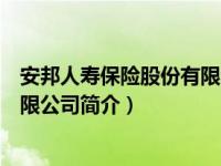 安邦人寿保险股份有限公司简介图片（安邦人寿保险股份有限公司简介）