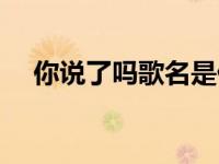你说了吗歌名是什么（你说过了吗简介）