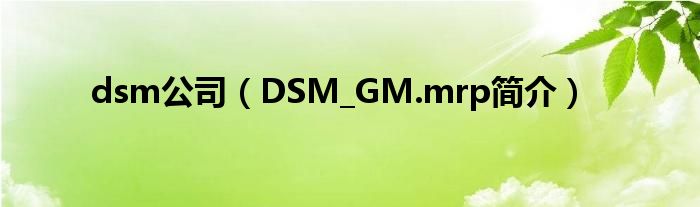 dsm公司（DSM
