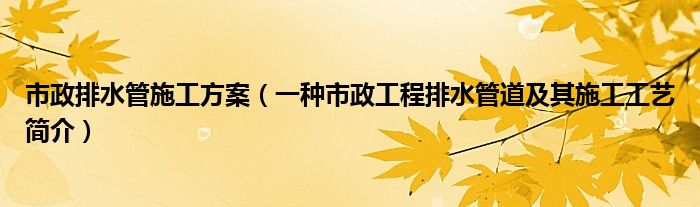 市政排水管施工方案（一种市政工程排水管道及其施工工艺简介）