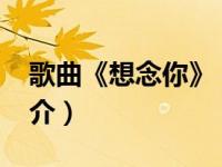 歌曲《想念你》（想念你-裘海正演唱歌曲简介）