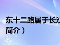 东十二路属于长沙县哪个街道（东十二路微城简介）