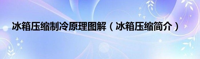 冰箱压缩制冷原理图解（冰箱压缩简介）