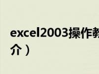 excel2003操作教程（Excel2003实用教程简介）