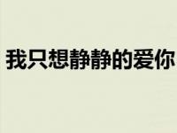 我只想静静的爱你（我只想静静地爱你简介）