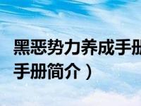 黑恶势力养成手册简介怎么写（黑恶势力养成手册简介）