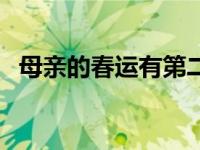 母亲的春运有第二部吗（母亲的春运简介）