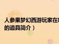 人参果梦幻西游玩家在哪里卖（人参果-网游《梦幻西游》中的道具简介）
